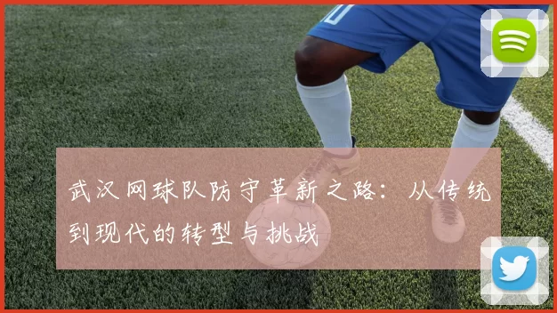武汉网球队防守革新之路：从传统到现代的转型与挑战