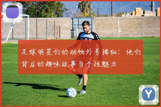 足球明星们的动物外号揭秘：他们背后的趣味故事与个性魅力