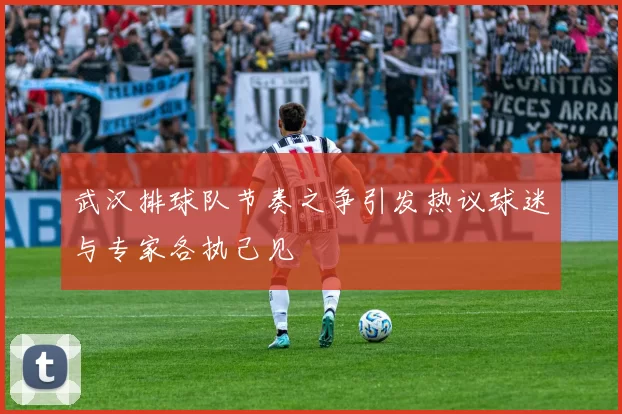 武汉排球队节奏之争引发热议球迷与专家各执己见