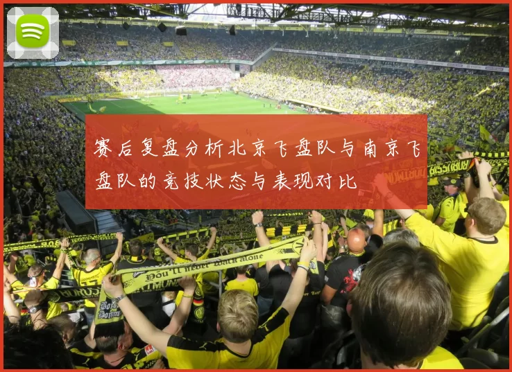 赛后复盘分析北京飞盘队与南京飞盘队的竞技状态与表现对比